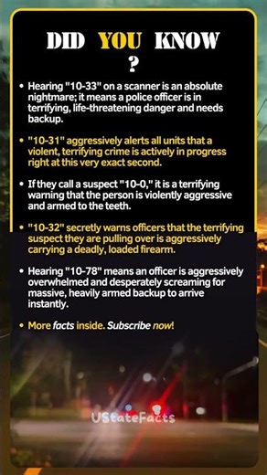 Terrifying Police Codes You Should Memorize