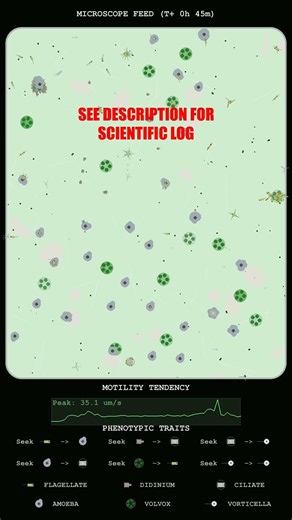 Kinetic Analysis of Microbial Velocity and Clustering