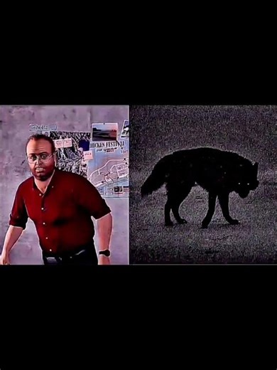 Wolves amog sheeps In GTS V | The reality of GTA V 🐺🐑