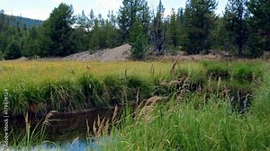 Ghost town gold mine Oregon Destruction from historical gold dredge tailings in Sumpter Valley and Creek near Granite