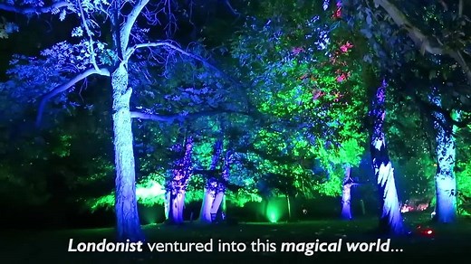 258K views · 4.4K reactions | Enter the magical world of Syon Park's Enchanted Woodland | Londonist | Facebook