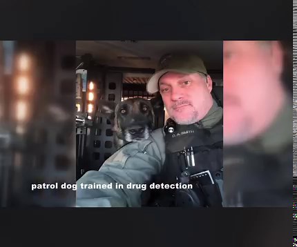 87K views · 9.3K reactions | K9 Cliff Final Radio Call! Buckeye AZ Police Department | Georgia Police K9 Foundation | Facebook