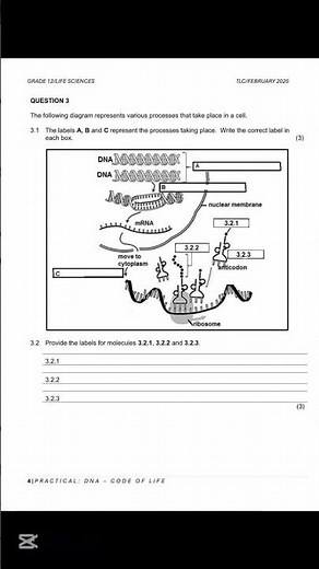 allpastpapers.com Life Sciences Practical Grade 12
