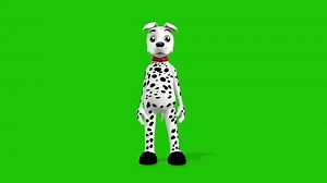 Dog Dance Green Screen Chroma Key
