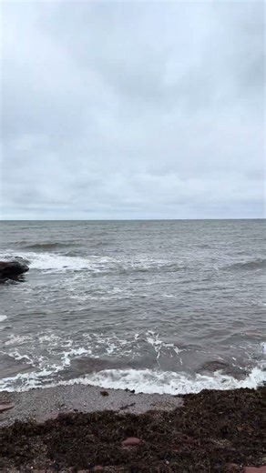 Prince Edward Island National Park vibes