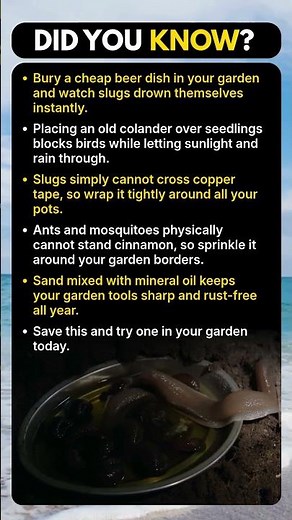 Garden Hacks That Actually Work Fast