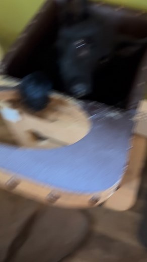 99 reactions · 4 comments | One step forward two steps back! Puppies are fun to train. This morning Hetty stayed in her Bailey Chair, no fussing and had a PB treat for being so good. Lunch time I was chasing her around the house to get her back in her chair . Never a dull moment. Her cuteness is off the charts. #megaesophagus #germanshepherd | Perfect Imperfections | Facebook