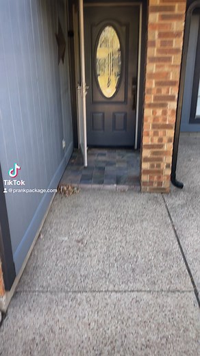 Prank the fluff out of them! 😂 #prankvideo #prank #tips #reels | PrankPackage.com