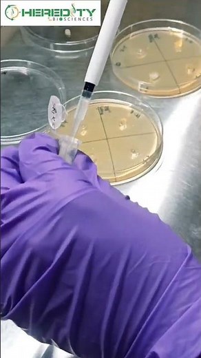 Agar well diffusion method #microbiology #hereditybioacademy