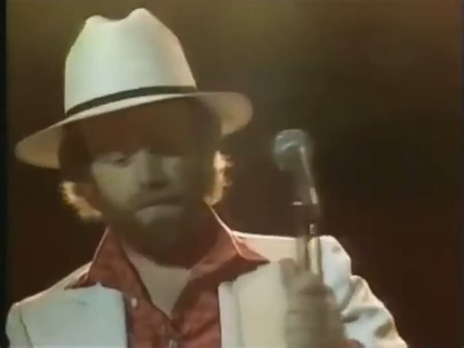 Surfer Girl - The Beach Boys (live) The Beach Boys "Good Timin': Live at Knebworth England 1980 | Top Hat Crew's "Live Music Archives"