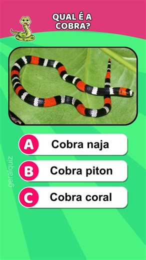 Qual é a cobra? Tente reconhecer o nome da cobra #quiz #cobra #cobras #animal #facebookreels | Geral Quiz