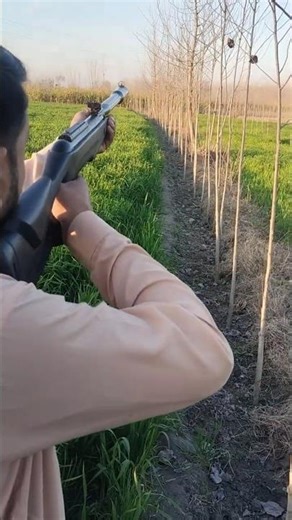 Extreme Airgun Accuracy | Long Range Hit | Amazing Airgun Shooting | Perfect Target