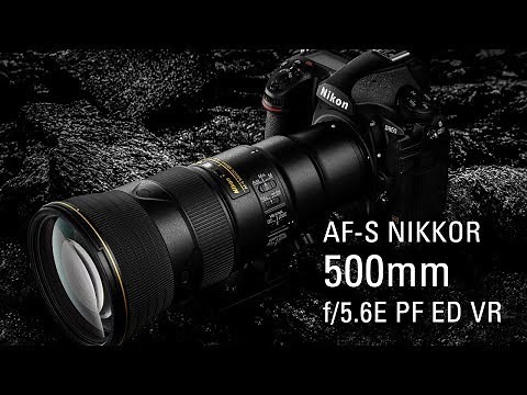 Behind the Scenes with Jannus Ree and the AF-S NIKKOR 500mm f/5.6E PF ED VR