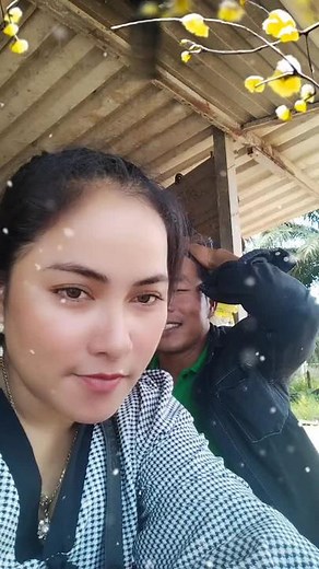 គណនីដែលបានណែនាំ