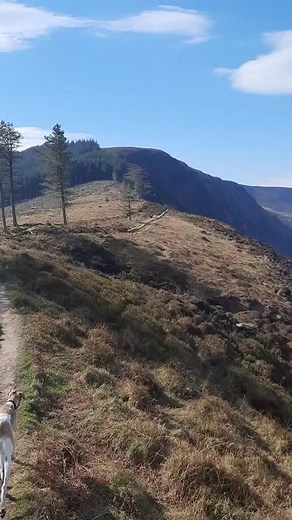 Exploring the Beauty of Irish Scenery with Glendalough Hiking Adventures