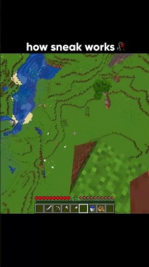 How sneaks works 🥀