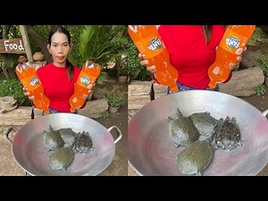 Tasty Recipes! I make turtles soup in my village | Turtle Soup