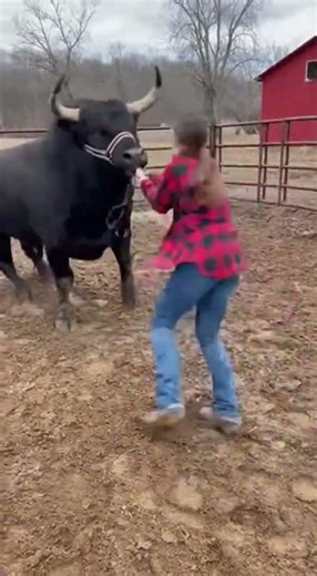 bull angry #aivideo #strongbull #artificialintelligence