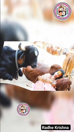 Guru Meri Pooja Guru Govinda #aniruddhacharyaji #anirudhacharyajilive #anorudhacharyaji bhajan