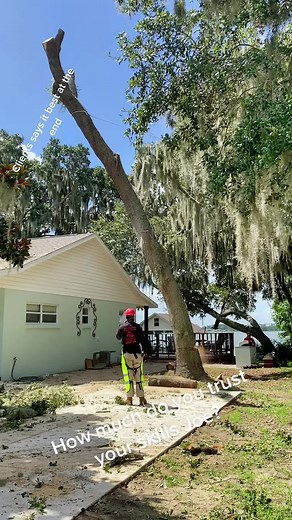 Tree work is what I love!! I work on my cuts daily so when we get a tree like this I feel confident in my decision to #sendit #JOESTREES #work #treeremoval #TREES #skills #shit #client #hugebacklean