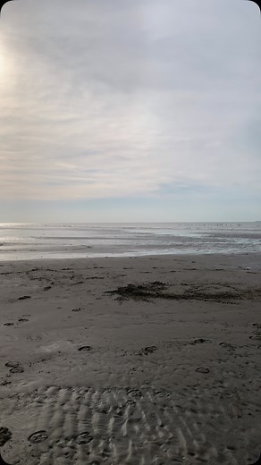 Coucou les Divinessences, Et si on s’offrait un instant de reconnexion à soi, bercé.e.s par le doux murmure des vagues ? La mer nous enseigne l’impermanence, l’apaisement, le lâcher-prise. Elle emporte avec elle ce dont nous n’avons plus besoin et nous ramène à l’essentiel. Fermez les yeux, respirez profondément … Laissez les vagues vous déposer de bonnes ondes, et l’énergie douce d’un week-end ressourçant. Je vous souhaite un très beau dimanche, tout en fluidité et en sérénité ✨ En notre âme et