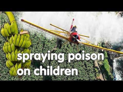 how stephen brooks is building a better world: the end of blame