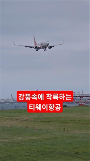 The pilots' skills are incredible #TwayAir #Landing #JejuAirport