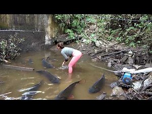 Fishing Ancient Fishing Techniques: Survival Alone, Hunting Giant Fish | Nguyet Fishing