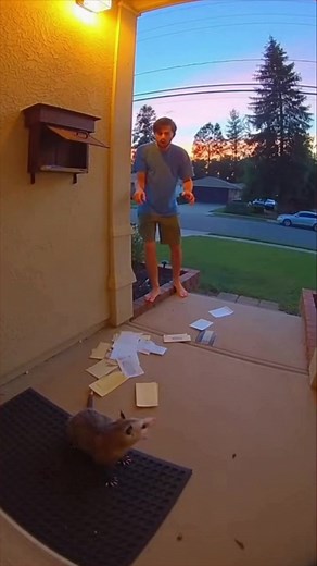 88K views · 76 reactions | When the mailbox bites back at golden hour  | Diply | Facebook