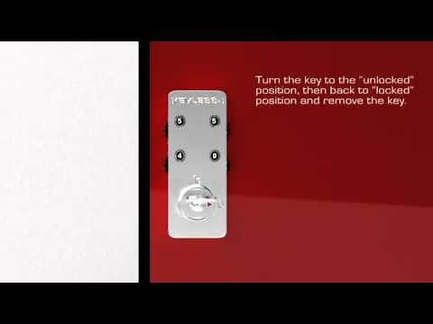 KEYLESS1 Manager Access Reset System