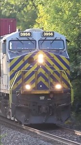 First time using a camera and tripod. (Camera T4i-55-250)