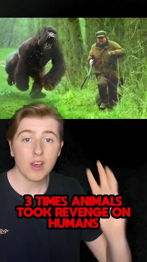 3 Times Animals Took Revenge On Humans