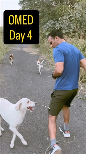 OMED DIET DAY 4. || 1 Hour Running challenge #fitin 40 #fitfuel #makinggains