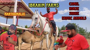 745K views · 10K reactions | புதுக்கோட்டை அருகில் இப்படி ஒரு இடமா |...