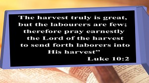 6.4K views · 260 reactions | Catholic Diocese of Kakamega Priestly Ordinations | Capuchin Television Network | Facebook