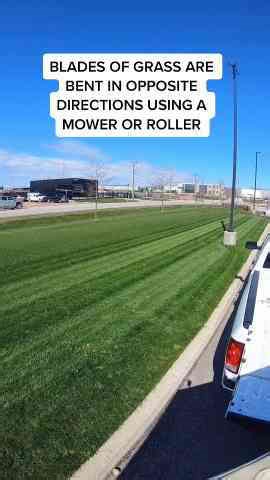 The Secret to That Golf Course Look: Lawn Striping Made Easy