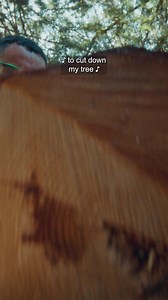 From tool chests to chainsaws, Harbor Freight's got your holiday covered. Stop by for this season's best savings. | Harbor Freight