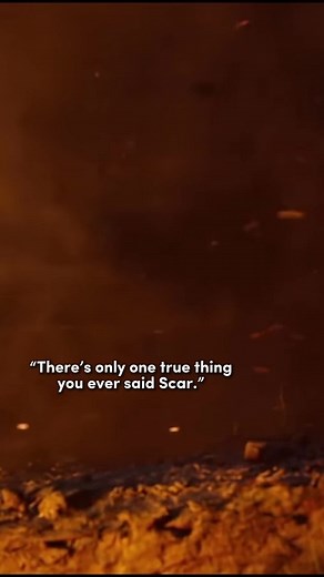 lionkingeditzz on TikTok