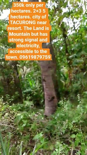 #viral #land super lowprice compare 2D status of Land first pay will b the owner.H&lot &land PM me