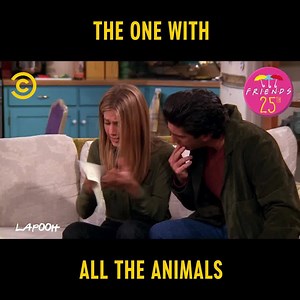 2.2M views · 21K reactions | "Oh my God, Chi-Chi!"  Here's every single cute animal from FRIENDS (TV Show) 閭 | Comedy Central UK | Facebook