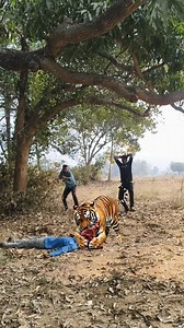Dosto ka upar tiger attack in jungle VFX funny #viral #wildlife #leopard attack #amazon video viral | Babul Biswal