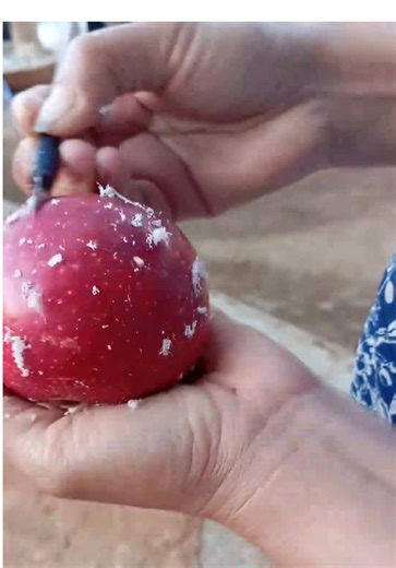 Hiện Tượng Lạ Của Táo: Giải Mã Từ Góc Độ Ẩm Thực