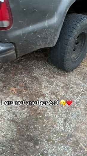 6hoeslut2.0 (@6hoeslut2.0)’s video of 6.0 powerstroke