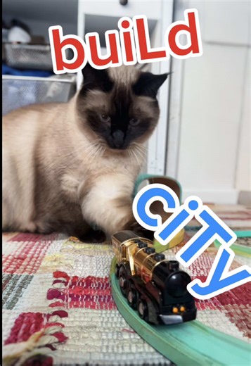 TALKiNG CAT BUiLDS ENTIRE CITY BeCAuse of @Beeper BECAUsE SHE GOT ALL HEr messAges doNe in ONE PLACE beCause i'm the Best LMOA ,, give me City.