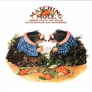 Matching Mole - Matching Mole