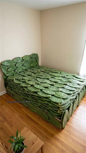 【ASMR】Comfy Bed Sleep Time 🛋️ | Relaxation シ #asmr #asmrvideo #cactus #palmleaves #fernleaf