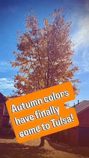 It’s finally Fall in Tulsa! | Meg Beltran - Realtor