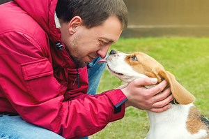 Study Reveals Dogs and Humans Synchronize Brain Activity During Eye Contact - CogniFit Blog: Brain Health News