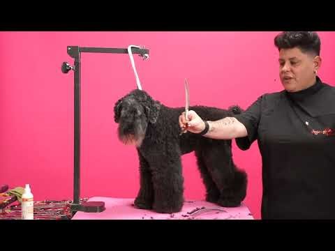 Super Curve Shears vs. Regular "Everyday" Curved Shears w/ Jessica Adorno