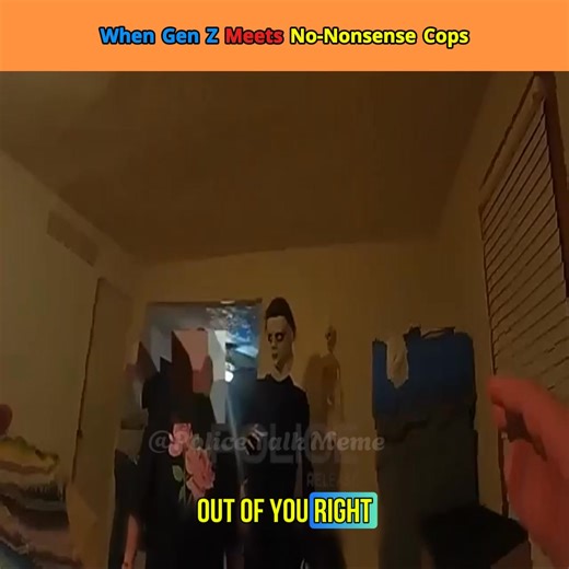 Gen Z Meets No-Nonsense Cops Part 26 | Police Talk Meme | Facebook